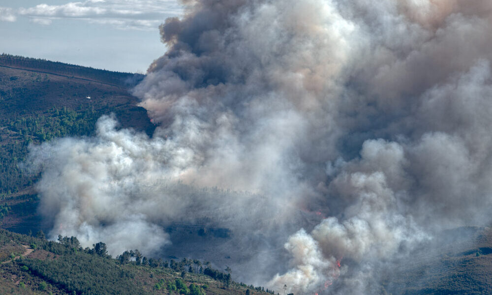 Incendi in Spagna e Francia