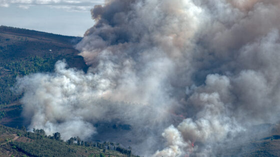 Incendio boschivo in Gironda