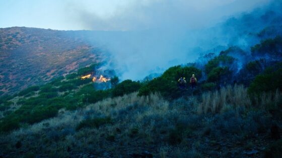 Incendi in Sicilia