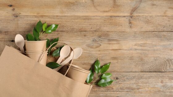 Immagine rappresentativa della collaborazione tra DS Smith e Tiber Pack per il packaging sostenibile