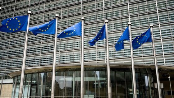 Indagine della Commissione Ue su cartello di produttori di additivi edili