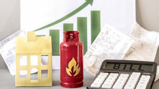 Immagine rappresentativa dei consumi di gas in Italia