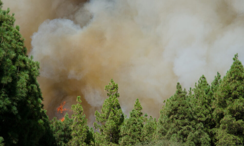 Incendi nella Gironda, Francia
