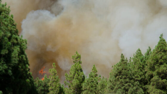 Incendi nella Gironda, Francia