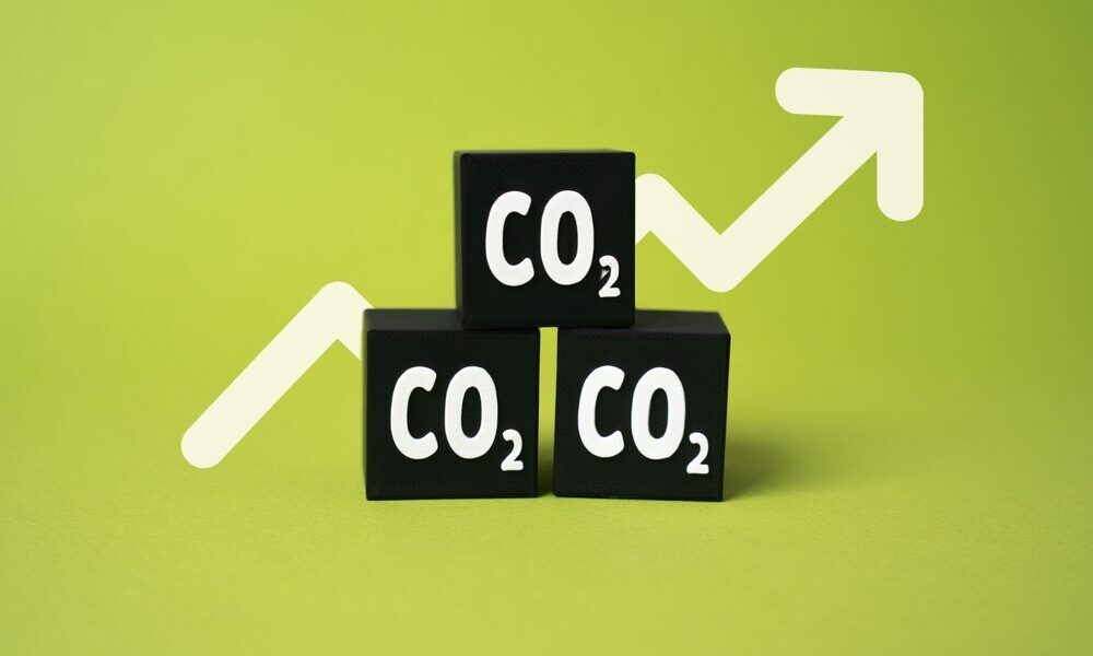 Grafico del mercato delle quote di CO2