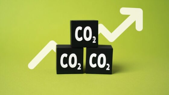 Grafico del mercato delle quote di CO2