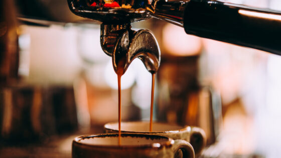 Breville Barista Express in offerta